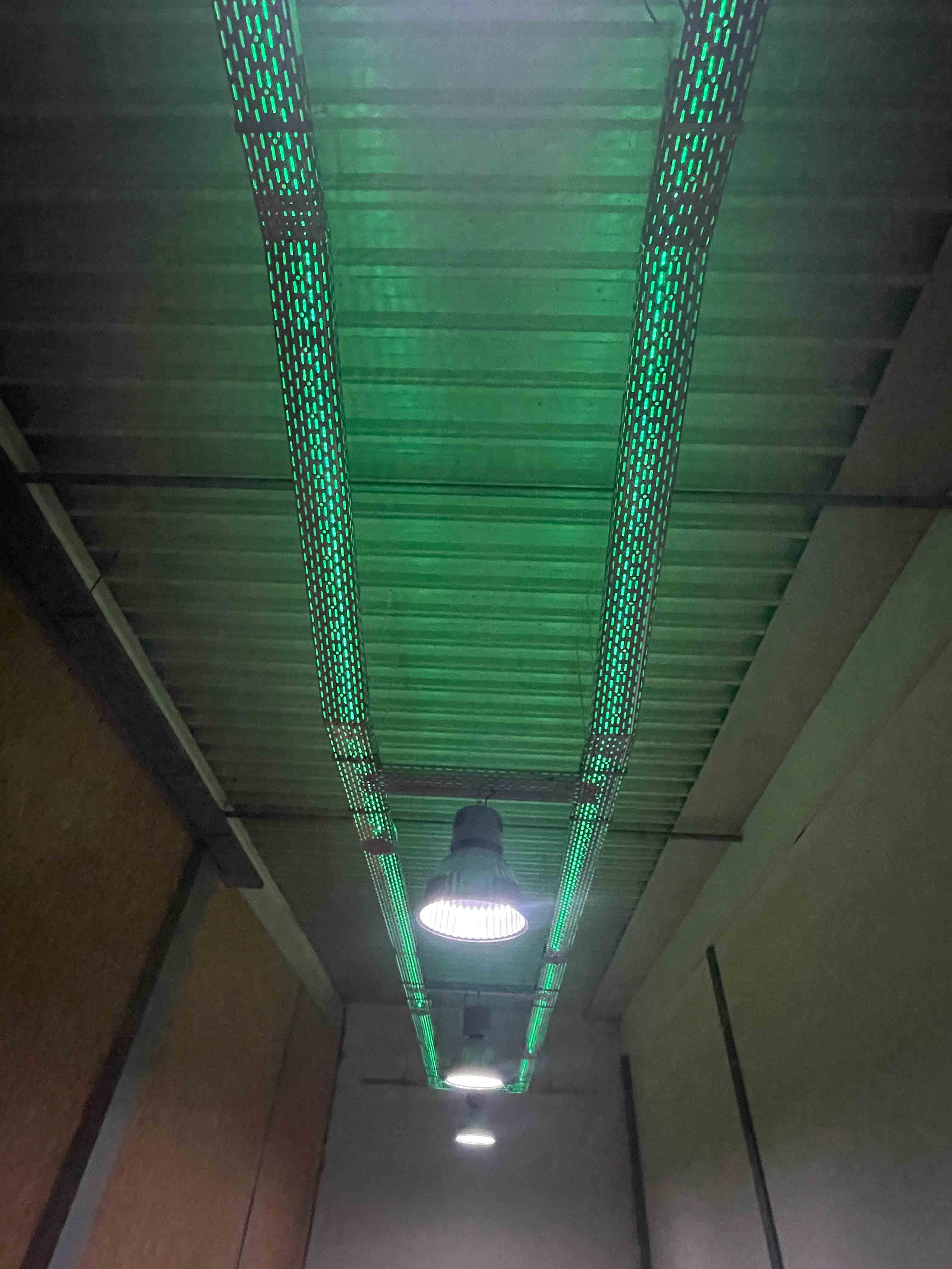 Grapefruit slice atop a pile of other slices