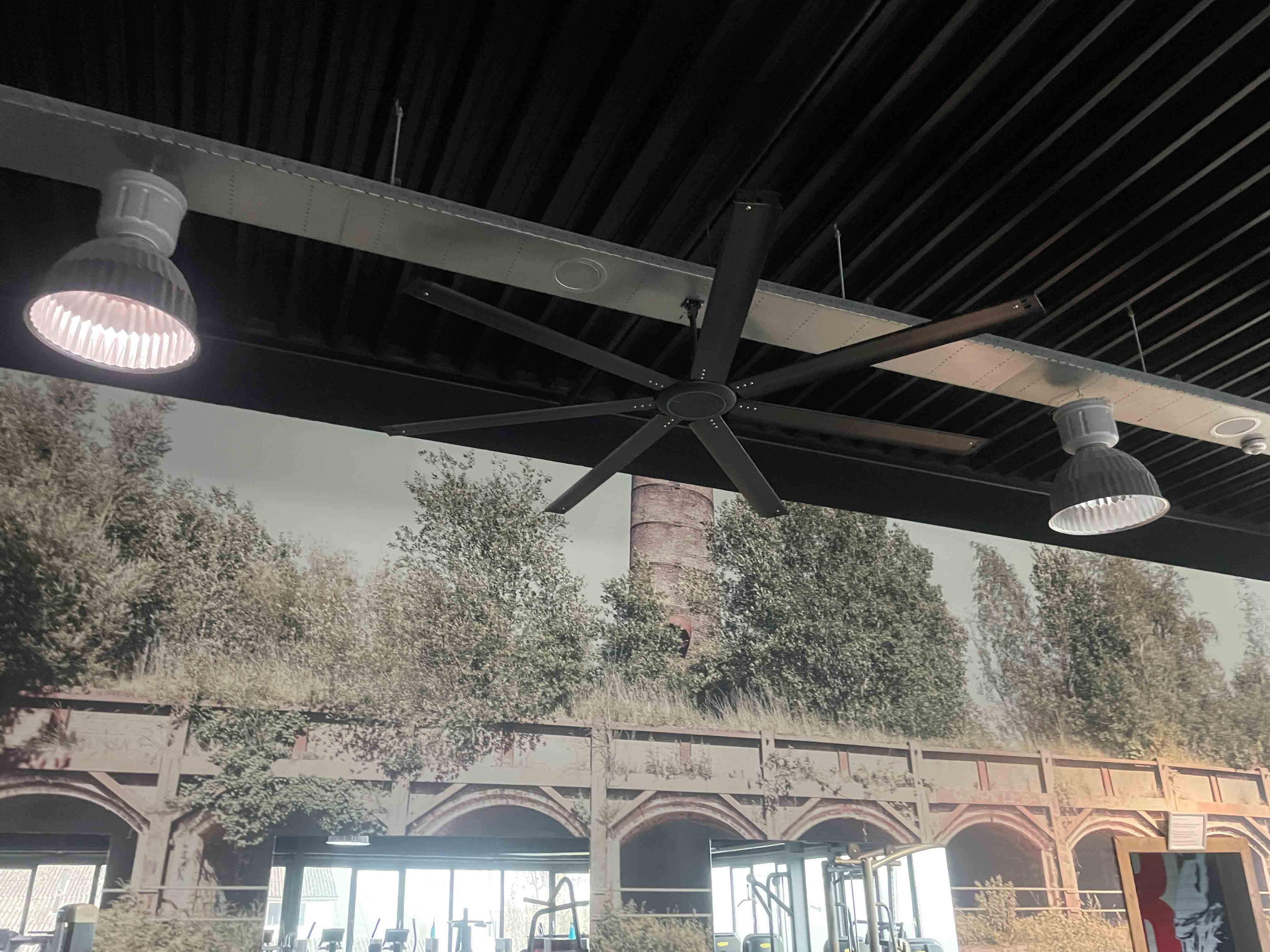 Grapefruit slice atop a pile of other slices